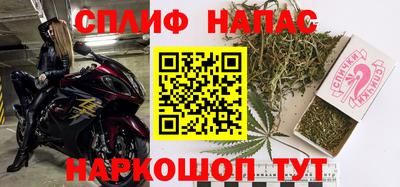 прущие грибы Дубна