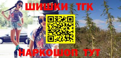прущие грибы Дубна