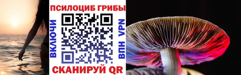 Галлюциногенные грибы мицелий  что такое наркотик  Лыткарино 