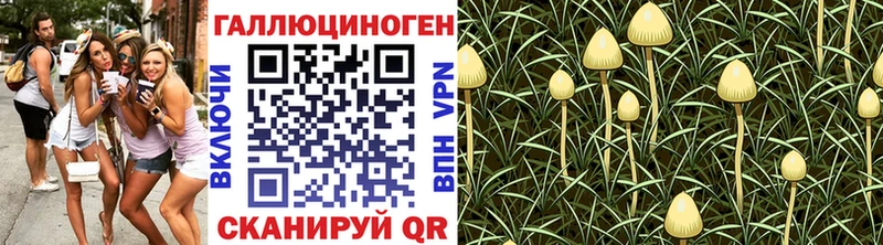 Псилоцибиновые грибы ЛСД Лыткарино