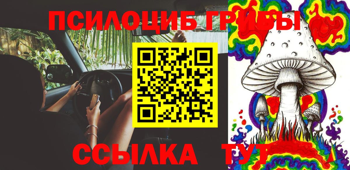 Псилоцибиновые грибы MAGIC MUSHROOMS  Вход с VPN  Лыткарино 