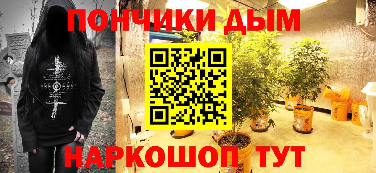 Каннабис конопля Лыткарино